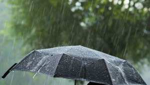 أمطار غزيرة ورعود بهذه الولايات