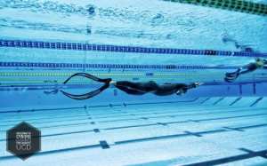 بمشاركة واسعة لمختلف الفئات العمرية وهران تستضيف البطولة الوطنية للسباحة بالزعانف