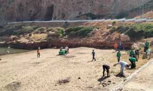 بيئة: إطلاق حملة وطنية لتنظيف الشواطئ من الطحالب البحرية عبر 14 ولاية ساحلية