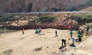 Environnement : lancement d'une campagne nationale de ramassage des algues sur les plages du littoral