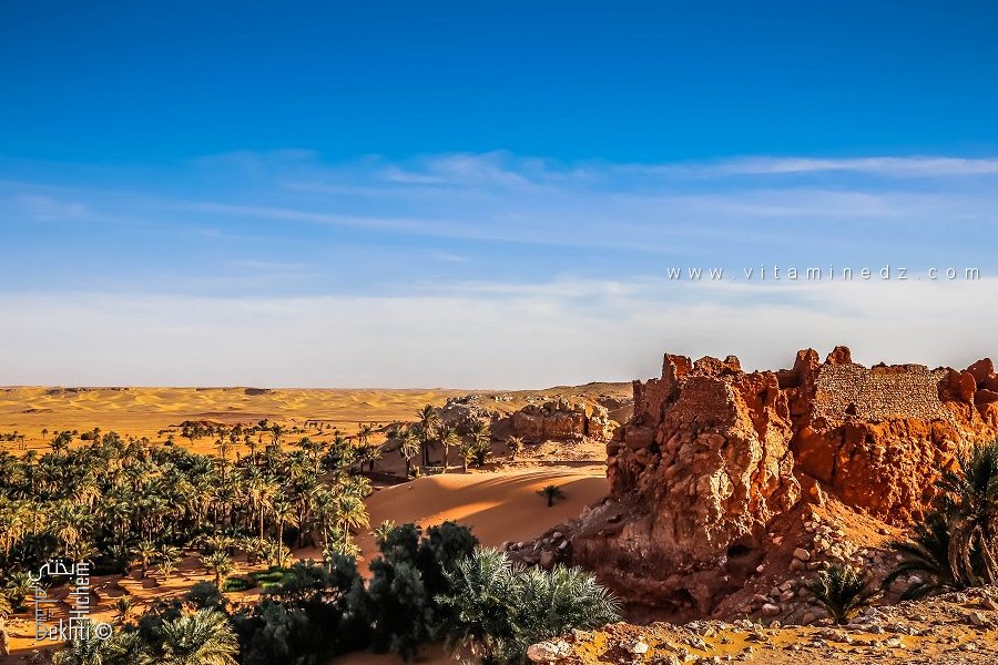 الجماعة الثقافية ألتافا (ALTAVA) : الحفاظ على التراث الجزائري وتعزيزه