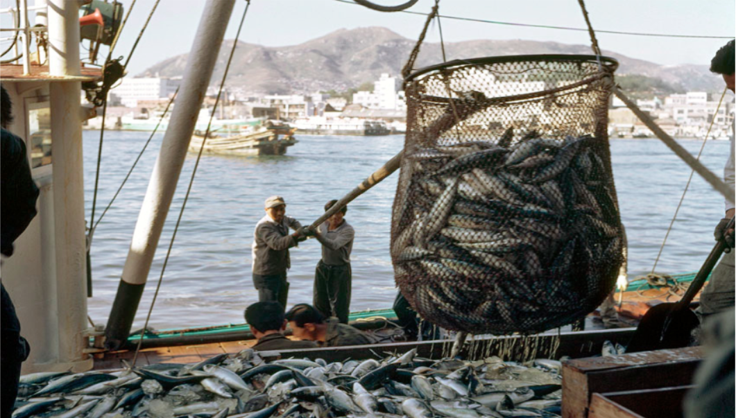 Baisse sensible des infractions liées à la pêche