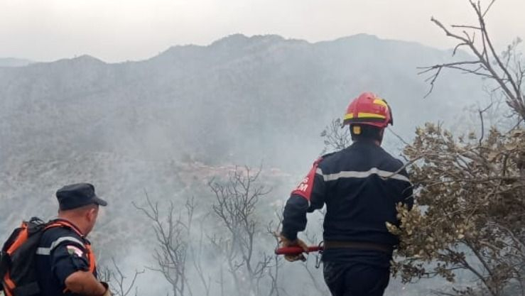 حرائق غابات: إخماد 22 حريقًا عبر 12 ولاية