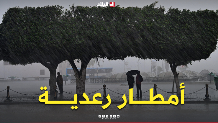 أمطار رعدية على هذه الولايات