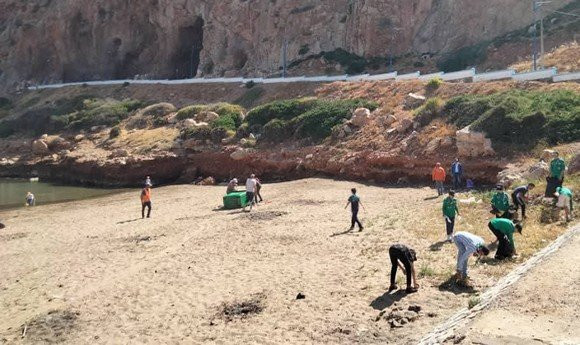 Environnement : lancement d'une campagne nationale de ramassage des algues sur les plages du littoral