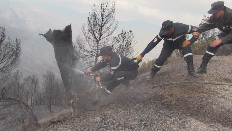 إخماد حرائق غابات وأدغال في 5 ولايات