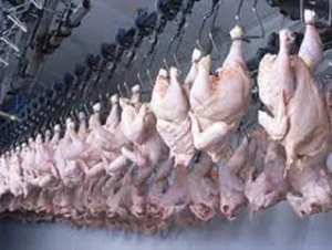 غليزان _ تفكيك شبكة إجرامية متورطة في السطو على محل مجوهرات بزمورة واسترجاع مبلغ 50 مليون سنتيم