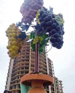 Algérie (Boumerdès) -  Une récolte de plus de 5 millions de quintaux de raisin attendue