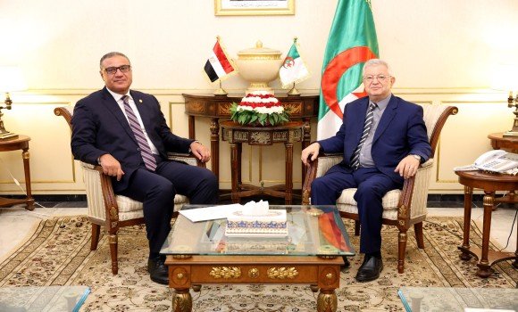 ناصري يستقبل السفير المصري بالجزائر