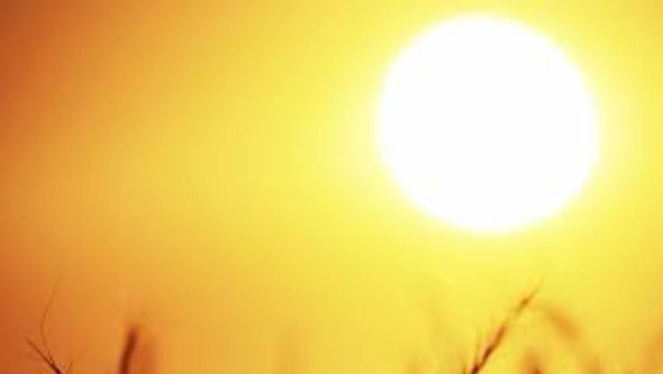 موجة حر تمس أربع ولايات غدًا الأربعاء