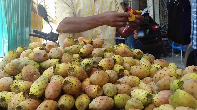 عربات التين الشوكي تغزو الشوارع