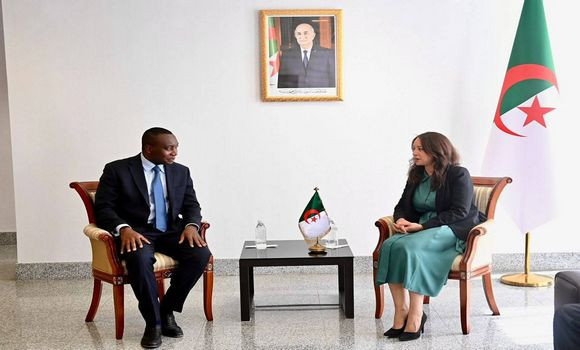 Mansouri reçoit le directeur de la facilitation du commerce et de la promotion des investissements à Afreximbank