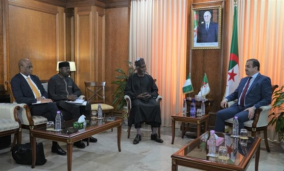 Arkab reçoit le ministre nigérian des Affaires étrangères pour examiner le renforcement du partenariat dans les domaines de l'énergie et des énergies renouvelables