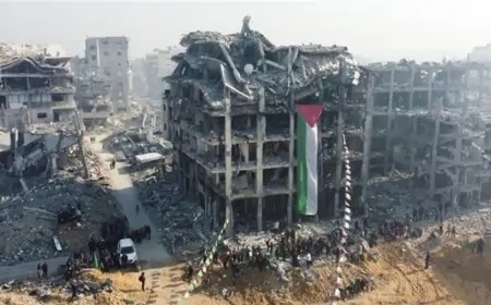 ناصري يُطلق نداءً لوقف إبادة الفلسطينيين