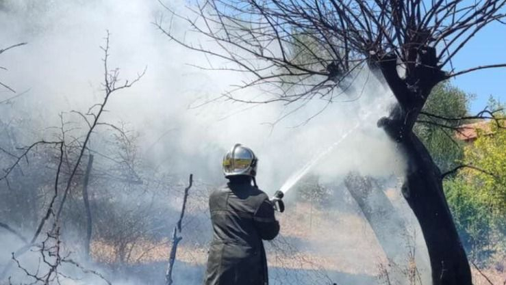 الحماية المدنية: إخماد 10 حرائق غابات عبر 9 ولايات