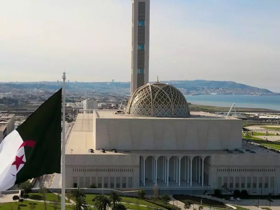 هذا جديد جامع الجزائر