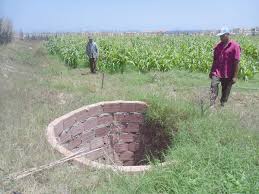 Algérie (Sidi Daoud/Boumerdès) - Salinité des eaux du Sébaou: Des exploitations agricoles en péril