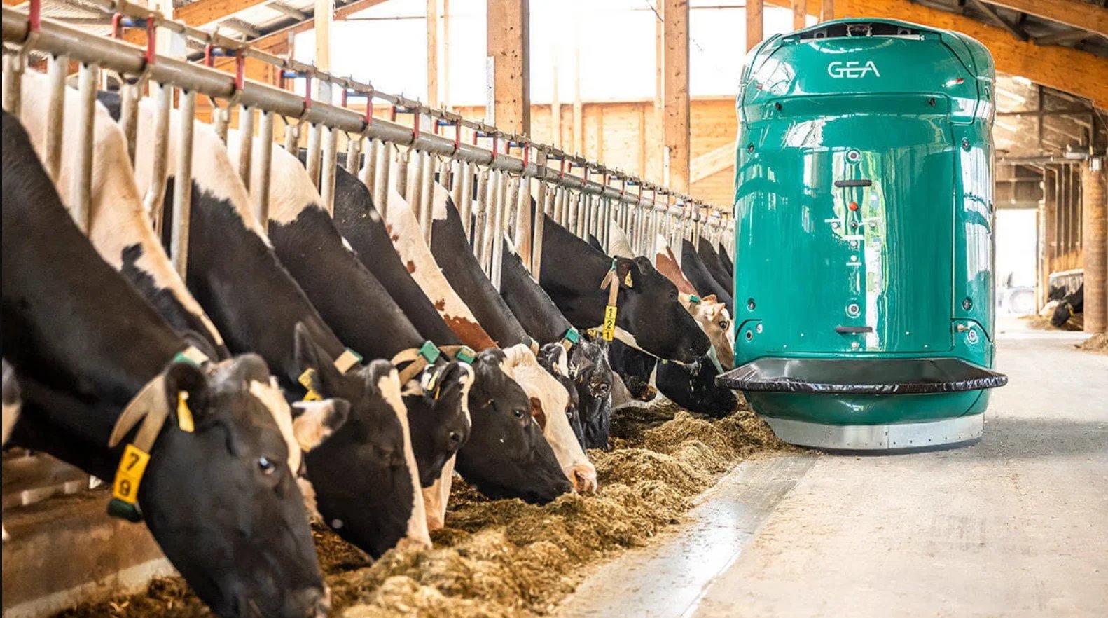 L’Algérie s’associe à GEA pour construire la plus grande ferme laitière au monde