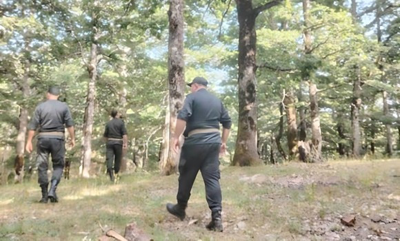 Prévention des feux de forêt: de nouvelles mesures en vigueur durant la saison 2025