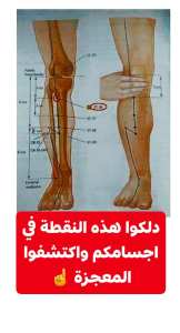 نقطة الحياة: اكتشاف مذهل للصحة والعافية