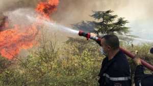 تجنيد 19 ألف عون لمكافحة حرائق الغابات