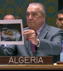 الجزائر تُطالب بـ إنقاذ الأرواح  في غزّة