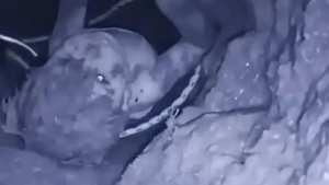 علق ببئر عميقة لـ 16 ساعة..  فيديو  يوثق لحظة إخراج طفل سوري