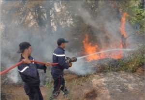 La lutte anti-feux de forêts montre son efficacité