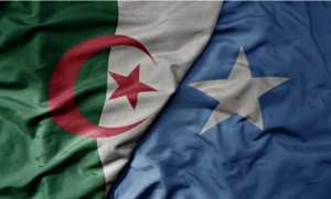 Algérie-Somalie: volonté commune d'impulser une nouvelle dynamique aux relations fraternelles