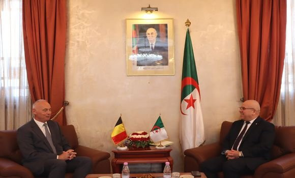 Agriculture : Cherfa examine avec l'ambassadeur de Belgique en Algérie  les perspectives de développement de la coopération bilatérale