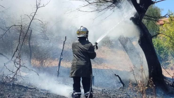 الحماية المدنية: إخماد 9 حرائق غابات عبر 7 ولايات