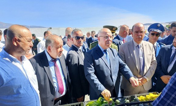 السيد شرفة يشرف من بجاية على إطلاق الحملة الوطنية لجني دوار الشمس