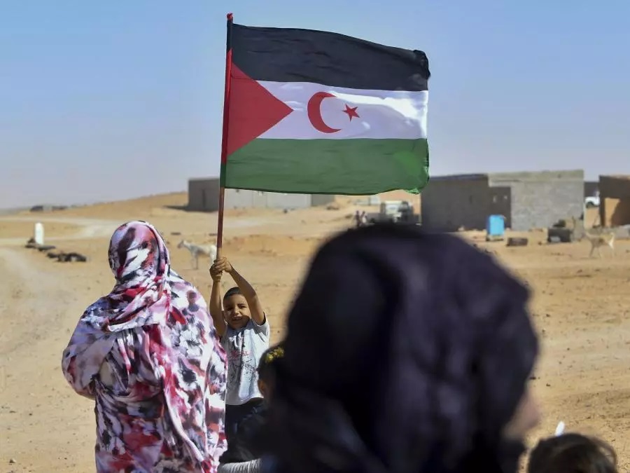 المخزن منح اللوبيات الغربية أموالاً طائلة