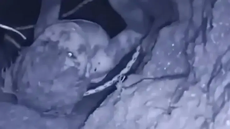 علق ببئر عميقة لـ 16 ساعة.. 