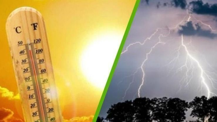 موجة حر وأمطار رعدية تمس عدة ولايات غدا الأحد