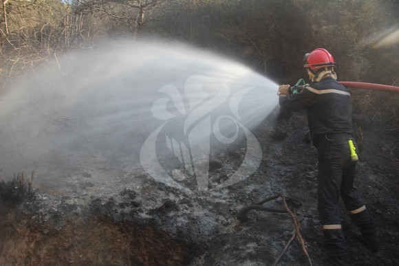 La Protection civile poursuit ses efforts pour éteindre les feux de forêt dans certaines wilayas du pays
