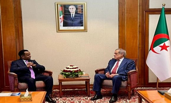 Le Premier ministre reçoit le ministre somalien des Affaires étrangères