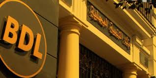 الناتج الصافي يرتفع بـ31 بالمائة في 2024