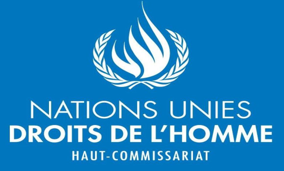 Le HCDH condamne l'assassinat de six journalistes à Ghaza par l'entité  sioniste