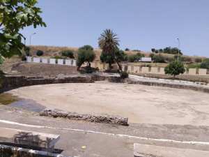 La Piscine Romaine d’Héliopolis : Un Joyau du Patrimoine Antique