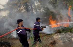 « 390 incendies recensés au niveau national depuis début mai »