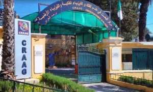 هزة ارتدادية بقوة  7ر4 درجات بولاية تبسة