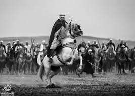 Algérie (Tiaret) -  Le salon national du cheval de retour: du 11 au 13 Septembre prochain