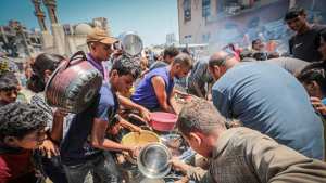 نصف مليون شخص جائع في غزّة