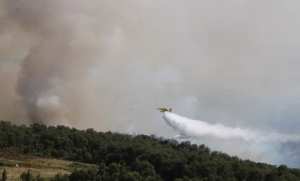 ANP: mobilisation d'avions des Forces aériennes pour participer à l'extinction des incendies à Béjaïa