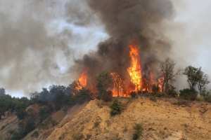 الجيش الوطني يساهم في إخماد النيران
