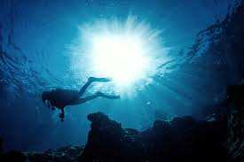 Planète (France/Europe) - «Un incendie sous-marin»: à Nice, les plongeurs catastrophés par la canicule marine