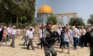 El-Qods occupée: des dizaines de colons prennent d'assaut la mosquée d'Al-Aqsa