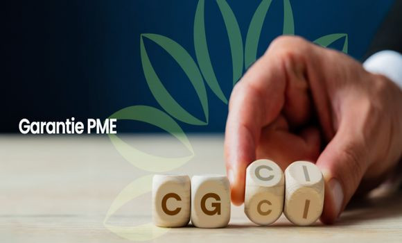Financement des PME: les garanties accordées par la CGCI atteignent 35 mds DA en 2024