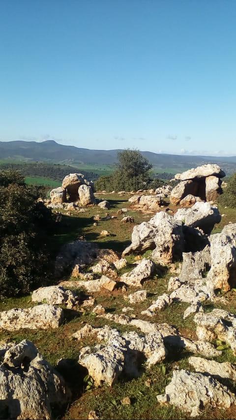 المقبرة الميقاليتية بالركنية